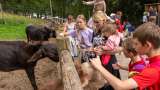 © Ingo Ortner - 260820_18 260820_uacamp